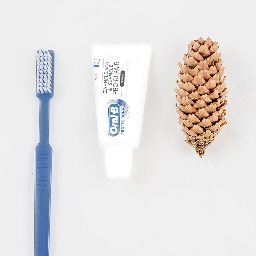 Prophylaxe/Parodontaltherapie